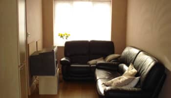 living room with two sofas and a television