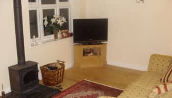 garage conversion with tv and wooden floor
