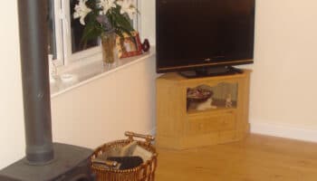 garage conversion with tv and wooden floor